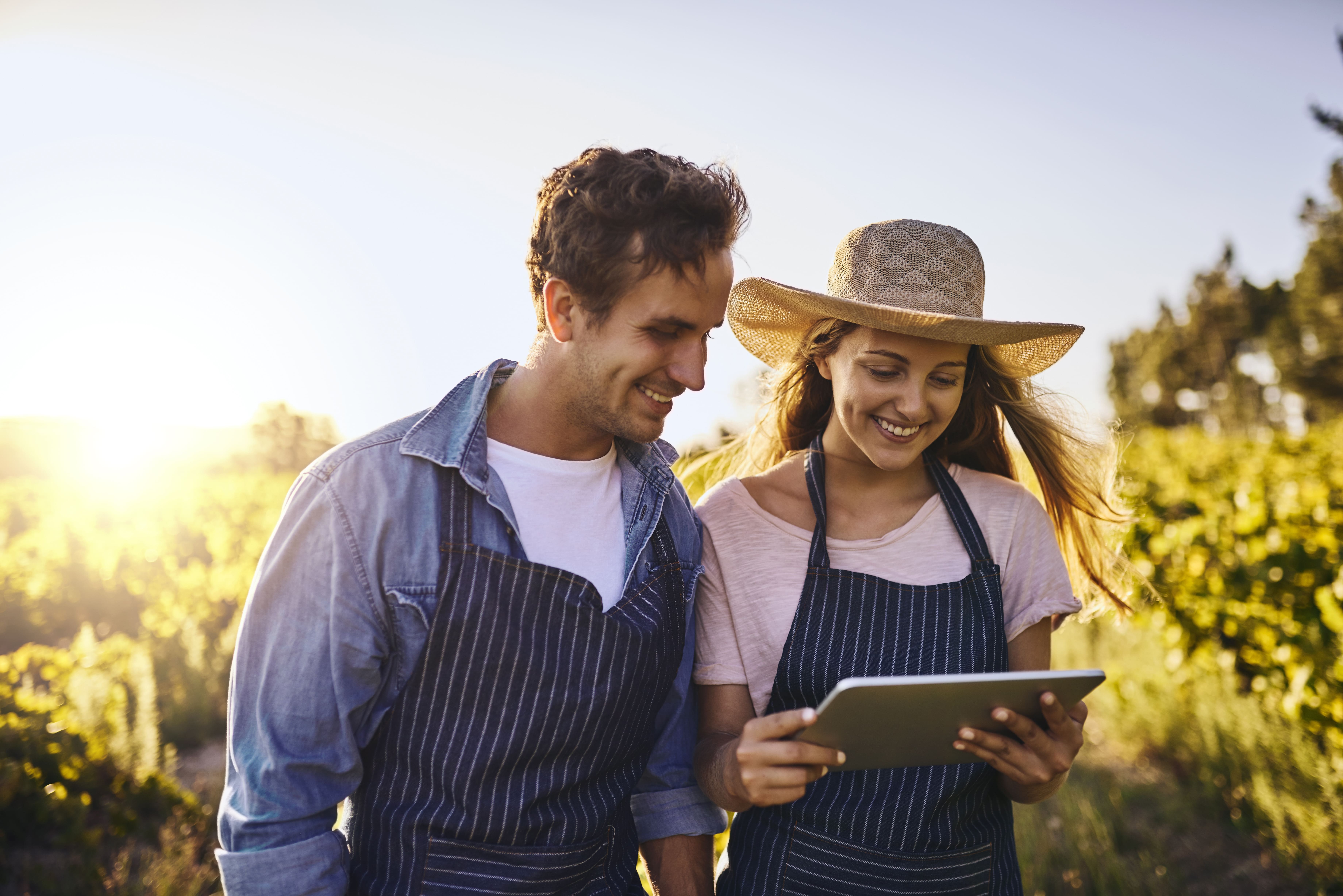 Elevating Customer Experience for a Leading Agritech Business