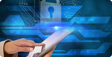 Comprehensive IT Solutions for Modern Businesses