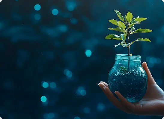 Sustainable Profitability