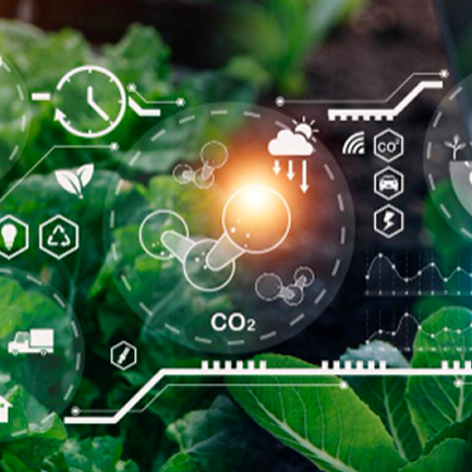 Successive Digital X Growers: Advancing Agricultural Supply Chain Solutions