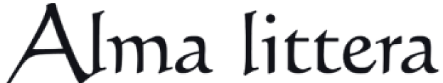 Partner's logo