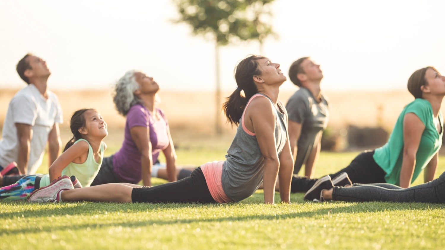 Sunlit Yoga and Wellness Sessions