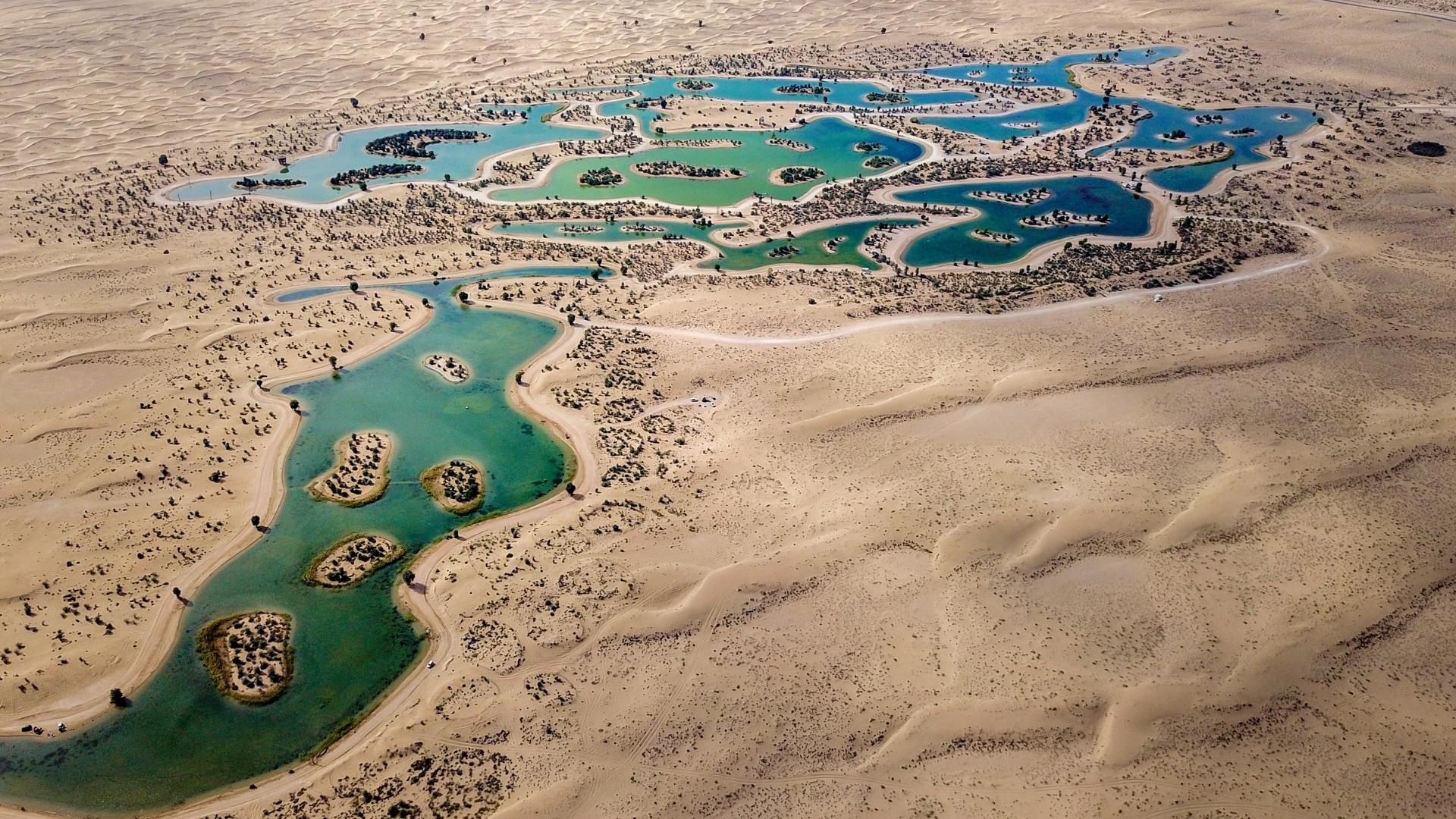 Al Qudra Lakes