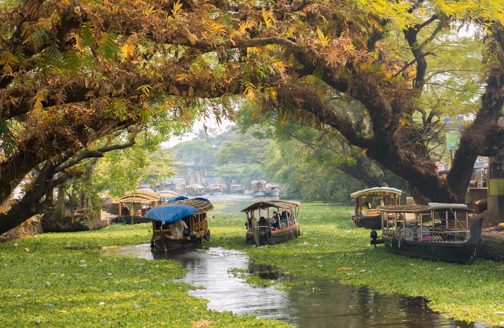 gap year india volunteering abroad kerala backwaters three boats on green water