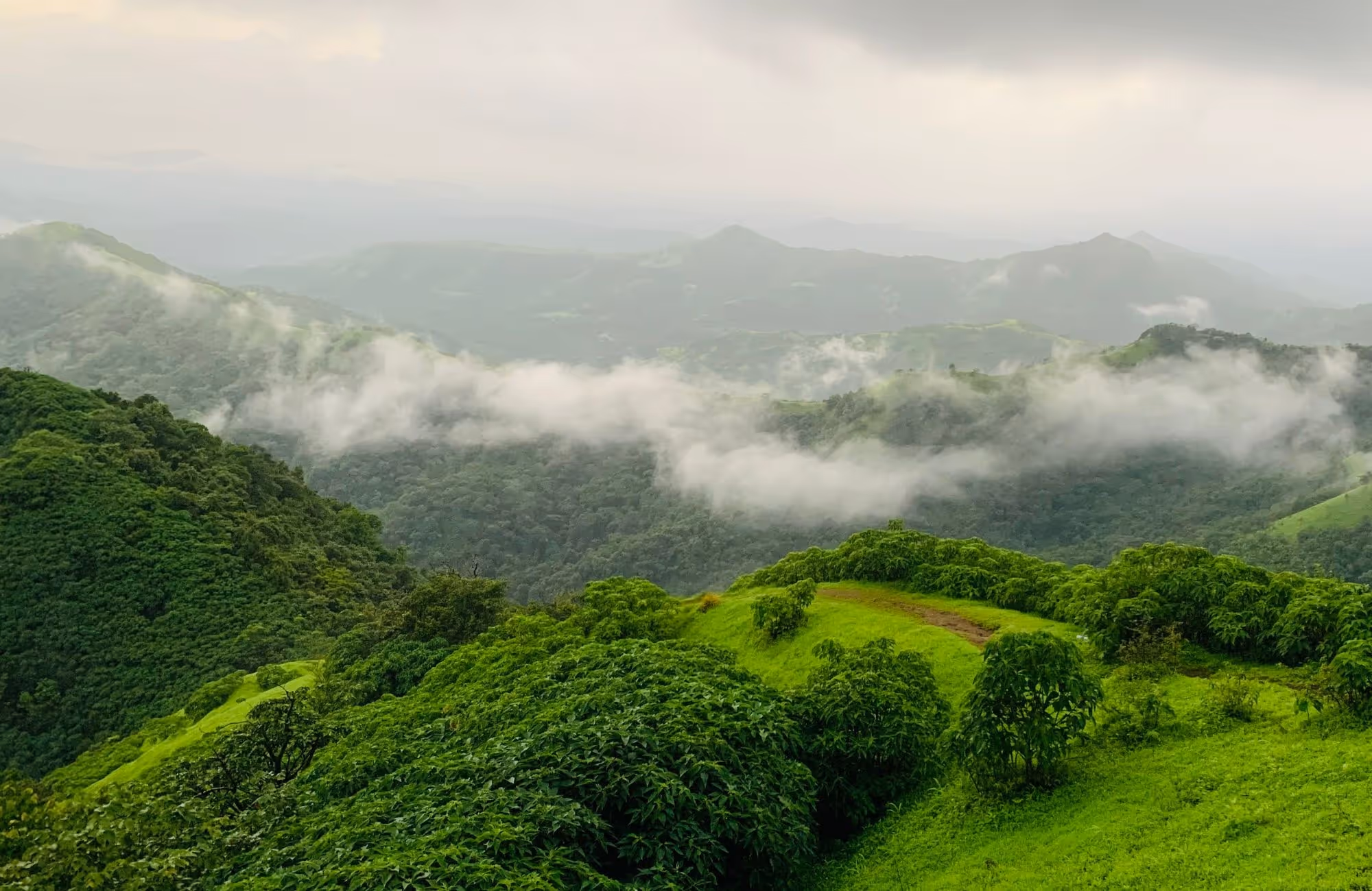 gap year india volunteering abroad western ghats misty green landscape 