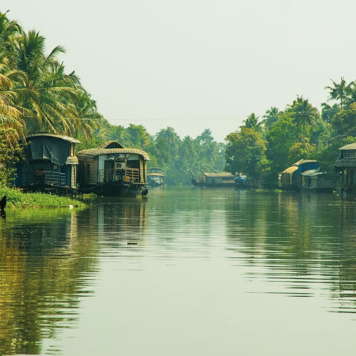 gap year volunteering abroad western ghats misty morning house boats on side of water