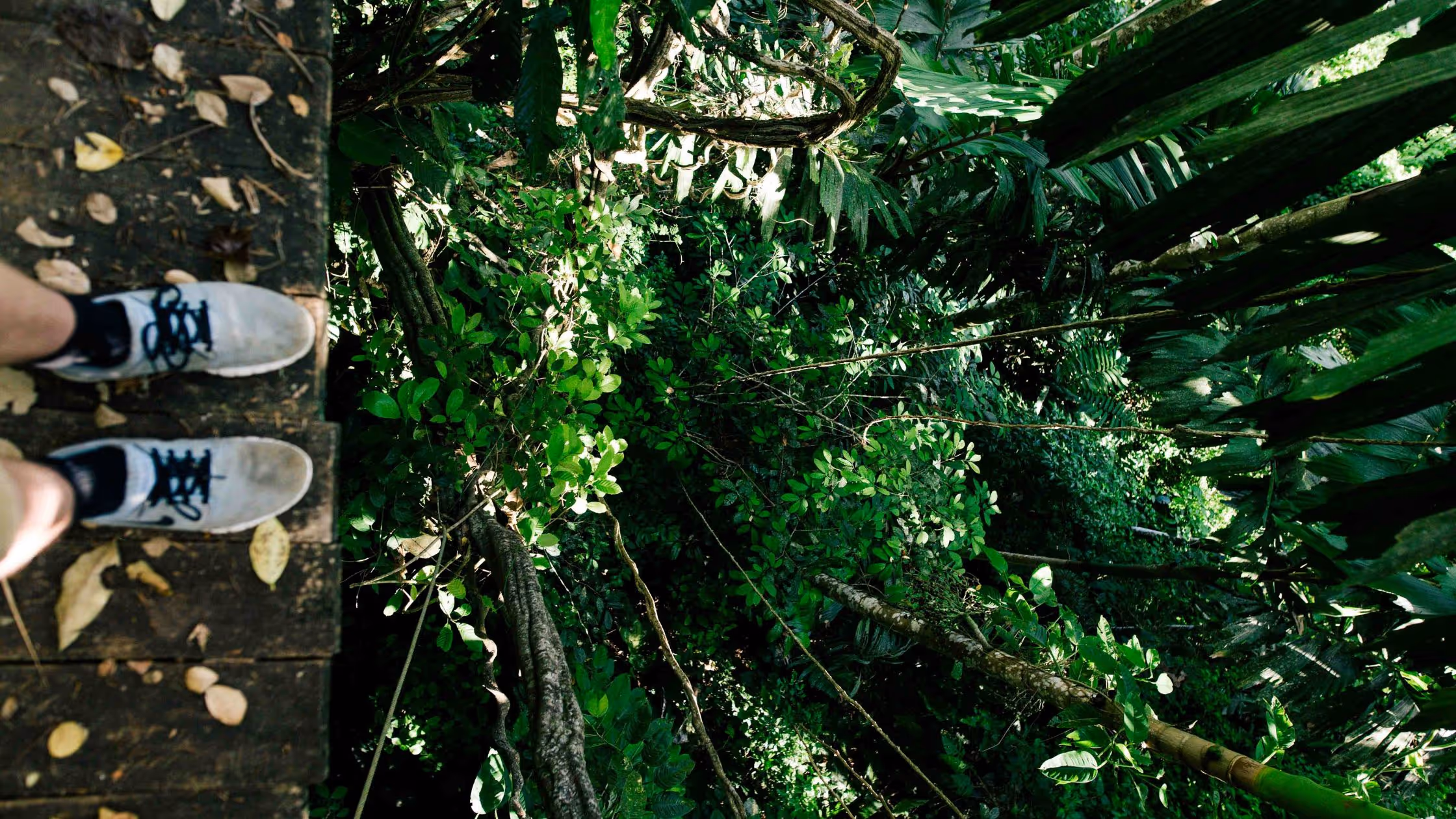 Top 5 Gap Year Destinations for Adventure Seekers: Global Thrills