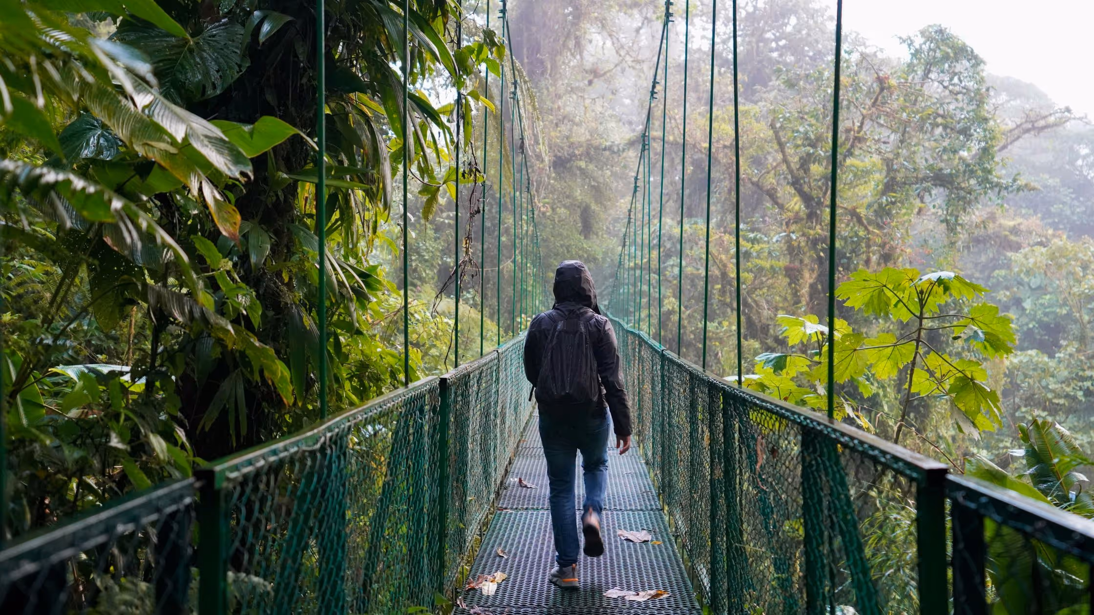 What Is Ecotourism? The Golden Rules for Backpackers