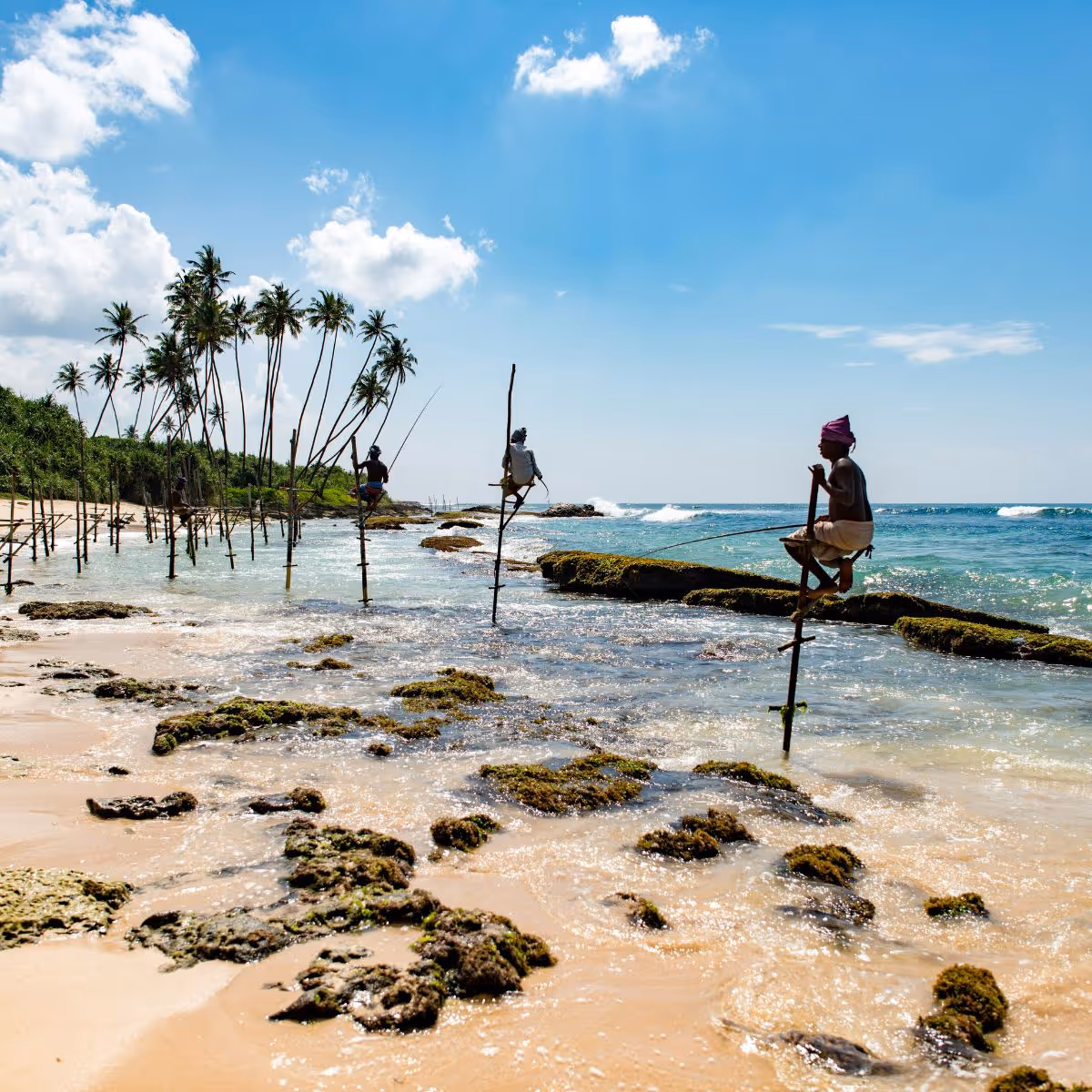 Sri Lanka Midlife Leap