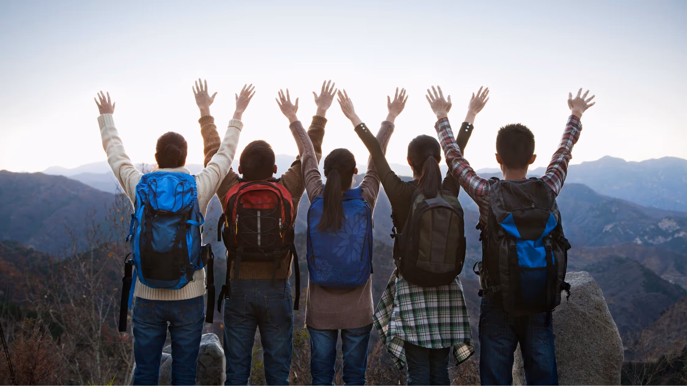 Who Are Tailored Leaps For?