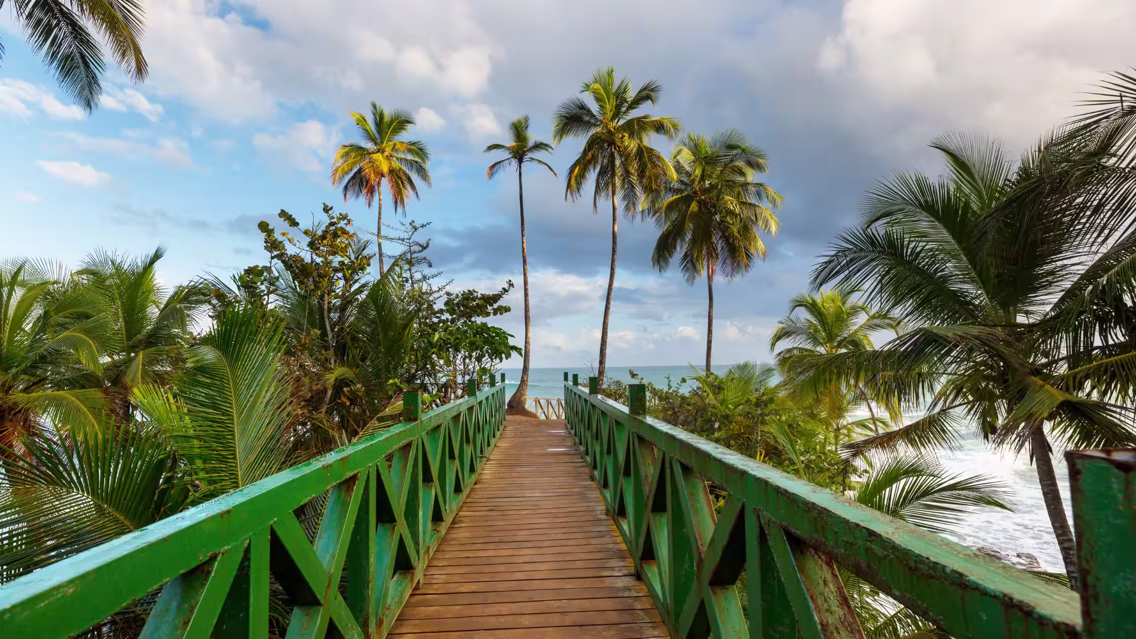 gap year trip costa rica green and wooden bridge into cloud forest