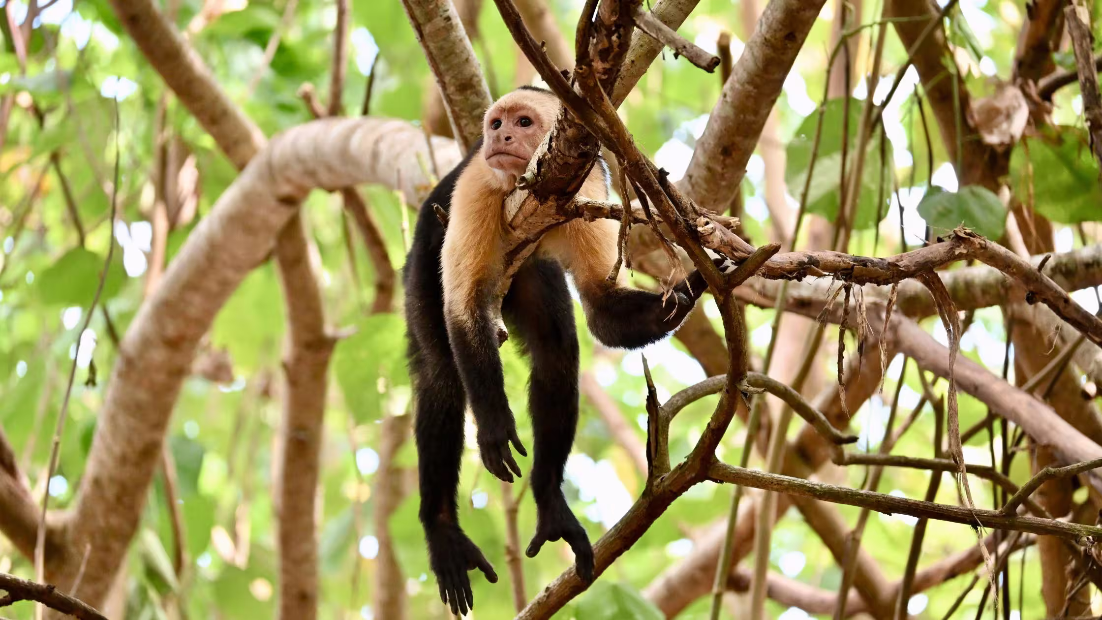 Costa Rica Gap Year: Surround Yourself With Nature
