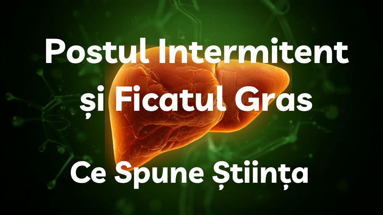 Ajută postul intermitent la ficatul gras (steatoza hepatică)? Ce spune știința
