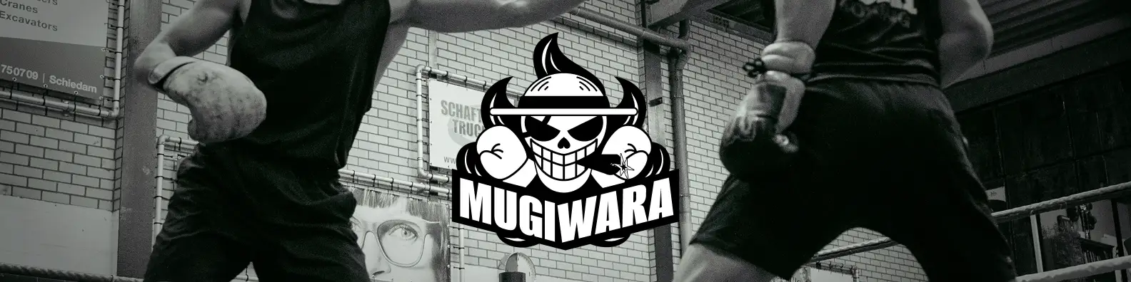 Branding and logo design project for a professional MMA athlete