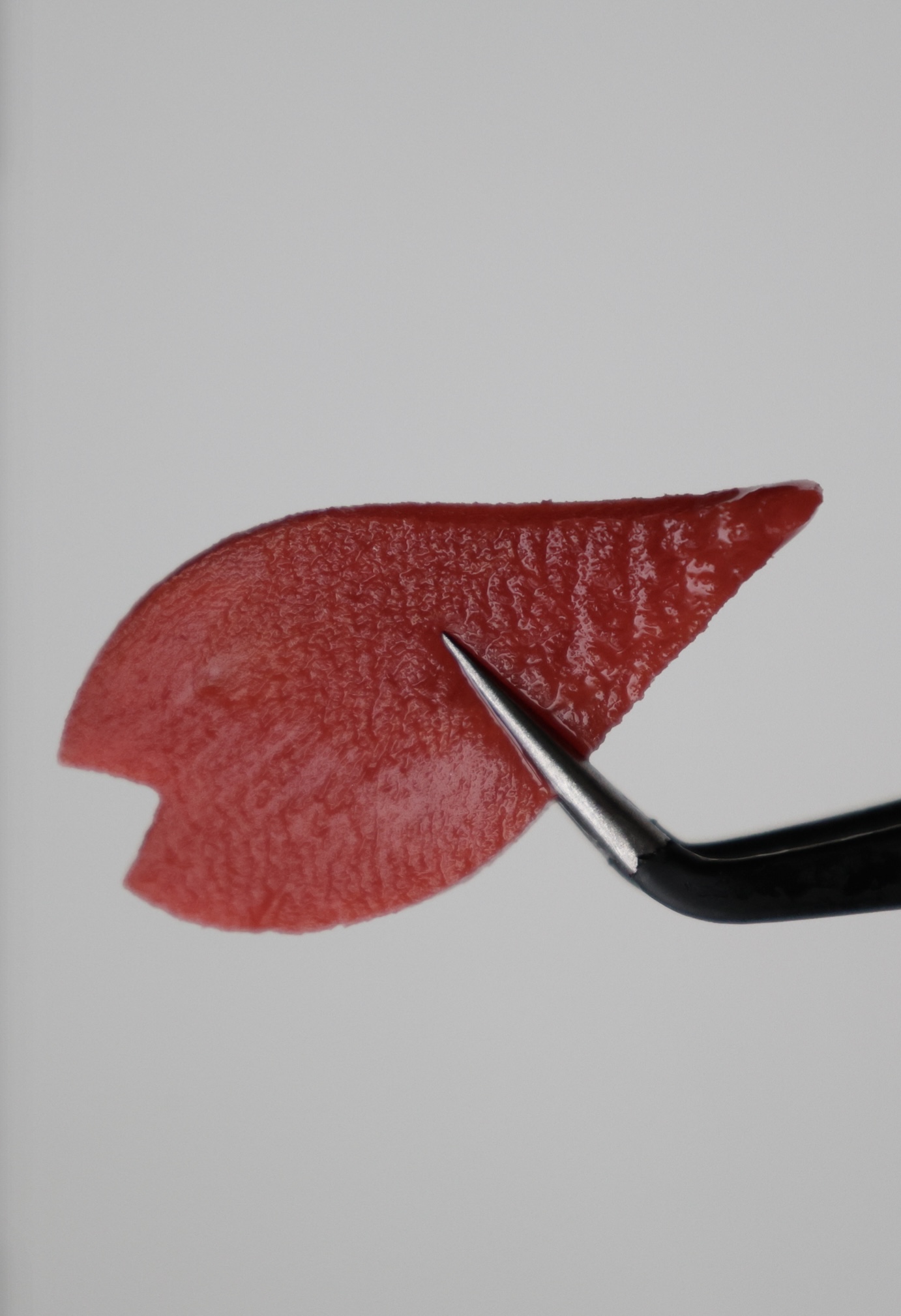 Sakura shaped pickled radish