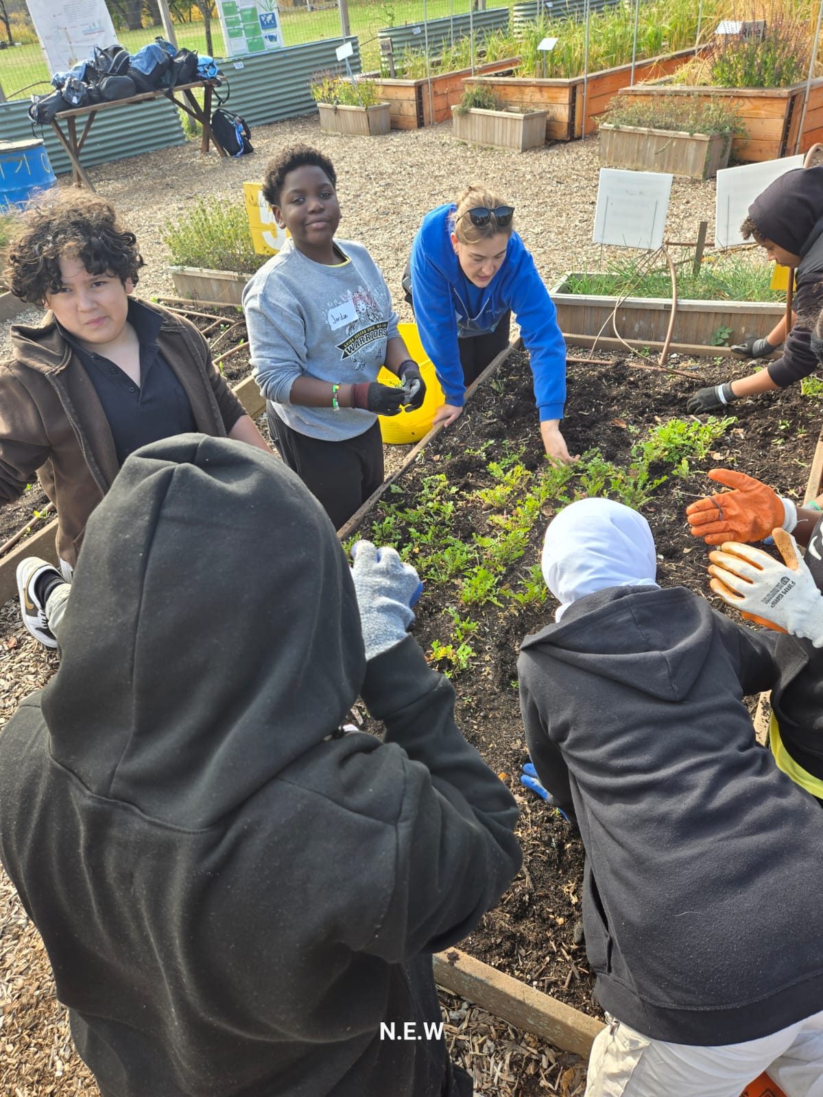Students wearing gloves tending raised garden beds outdoors together