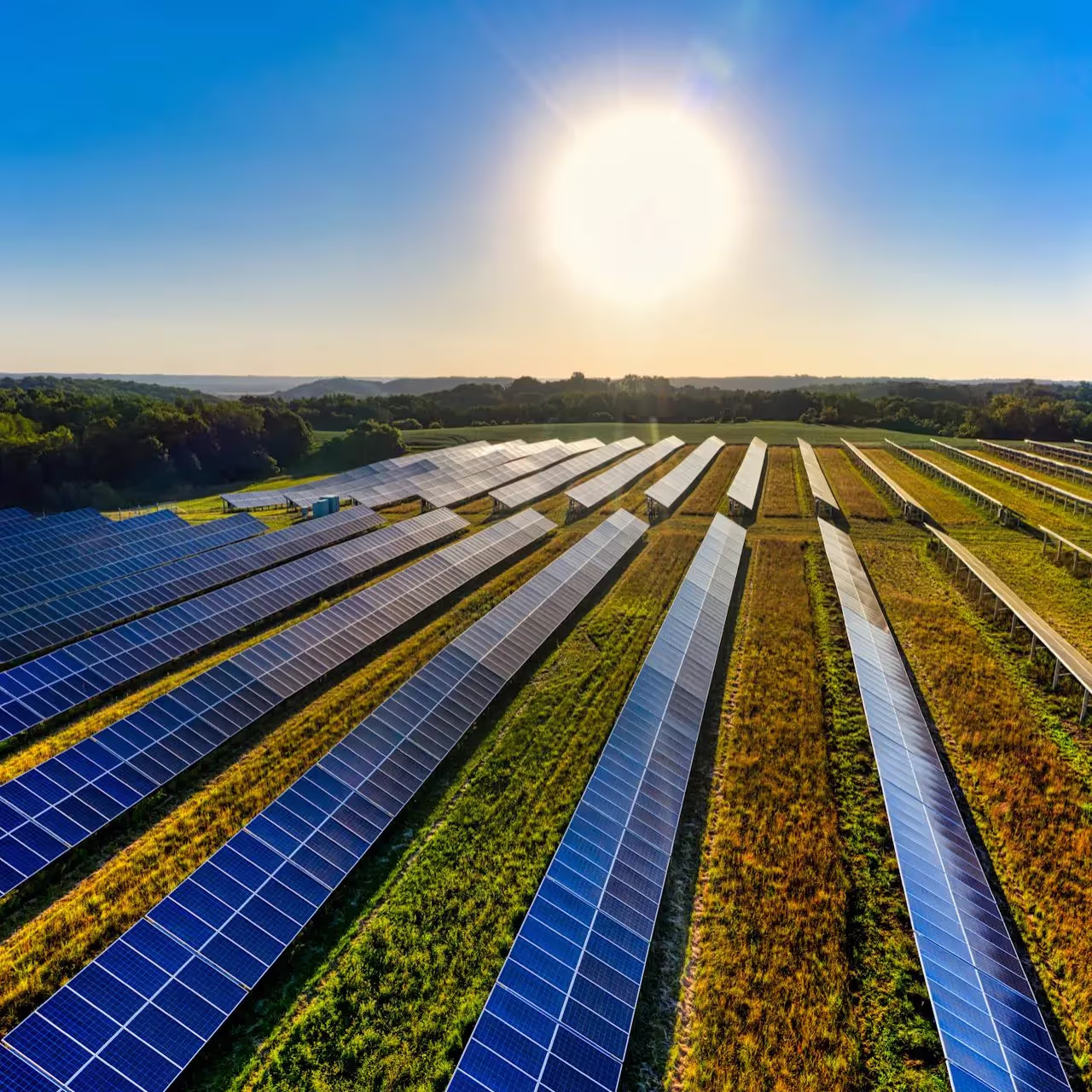 Solar panels in a field at sunrise.