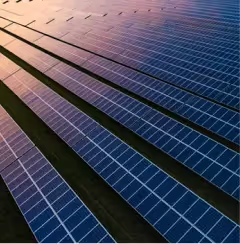 Rows of solar panels in field.