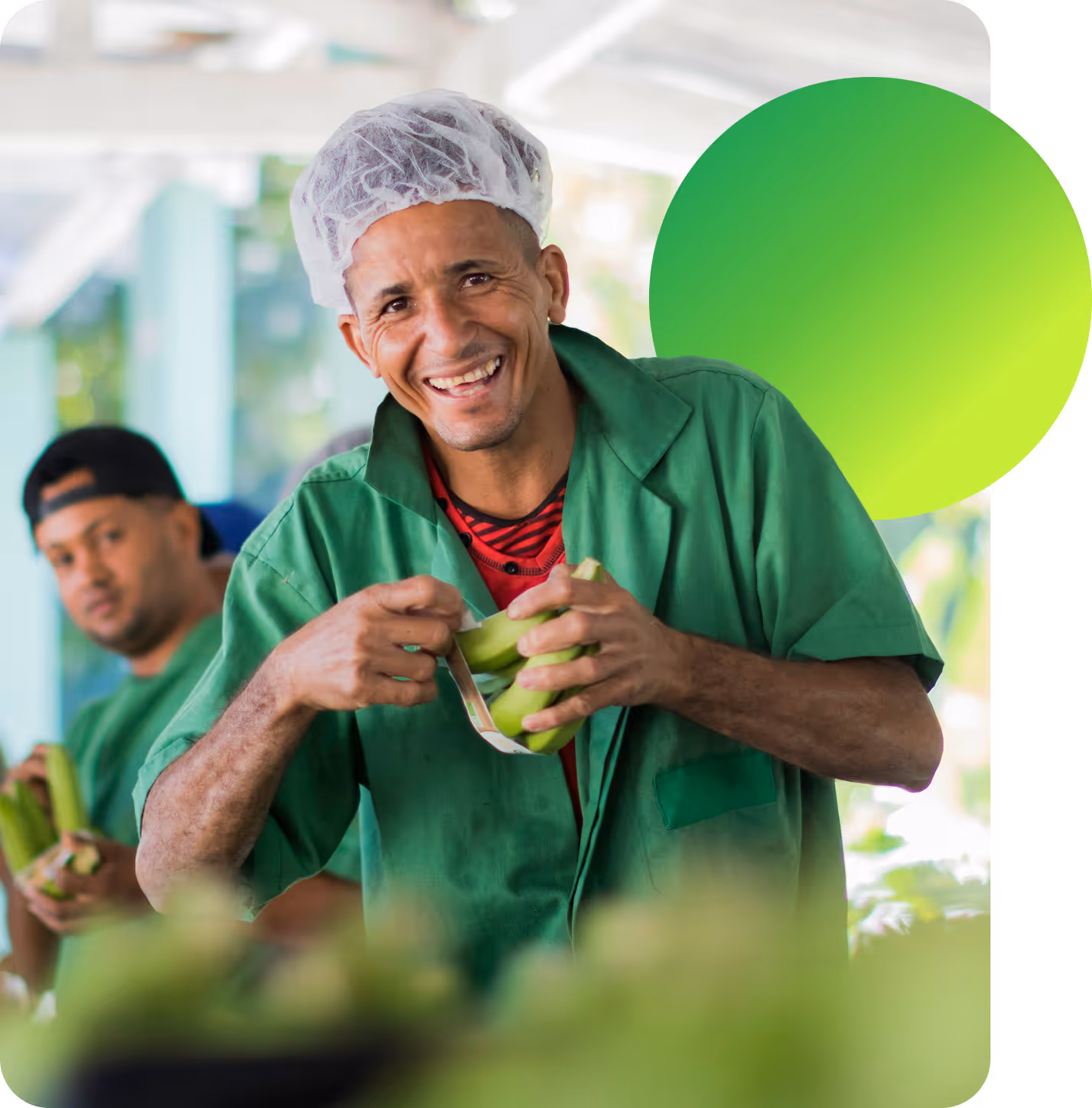 Homem sorridente vestindo avental verde e touca de proteção, embalando frutas verdes, com outra pessoa ao fundo fazendo o mesmo.
