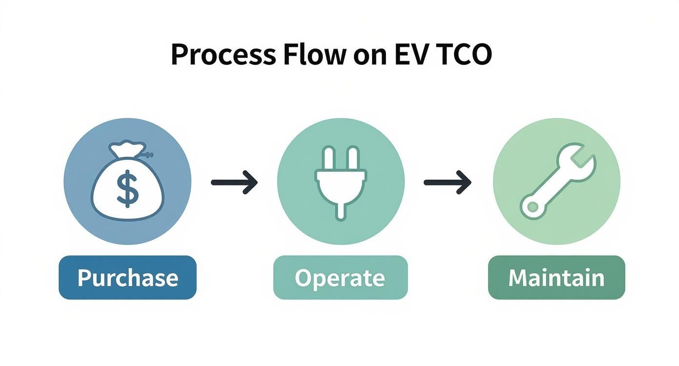 A diagram showing the EV TCO process flow: purchase (money bag), operate (plug), and maintain (wrench) stages.