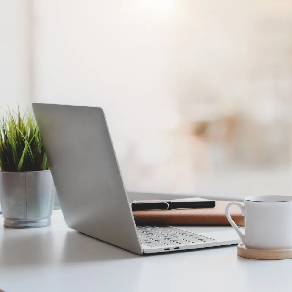 Camille Zerlini, création de site web