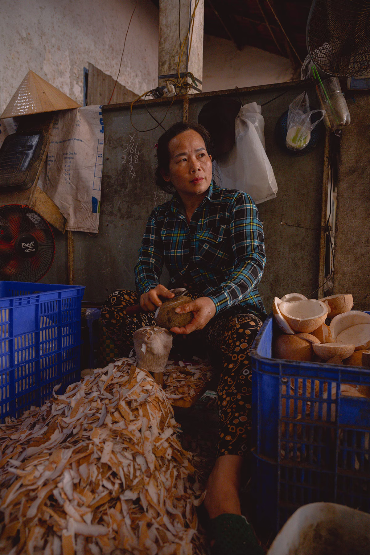 Woman coconuts in Vietnam