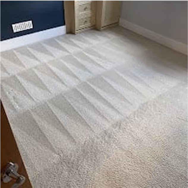 Clean beige carpet with vacuum lines forming a triangular pattern near a blue wall and wooden cabinets.