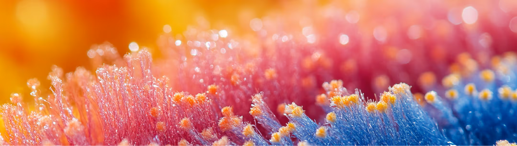 Close-up macro image of colorful frost crystals in pink, orange, and blue hues.