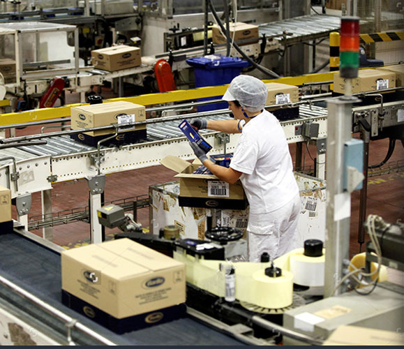 Automatización del Proceso
