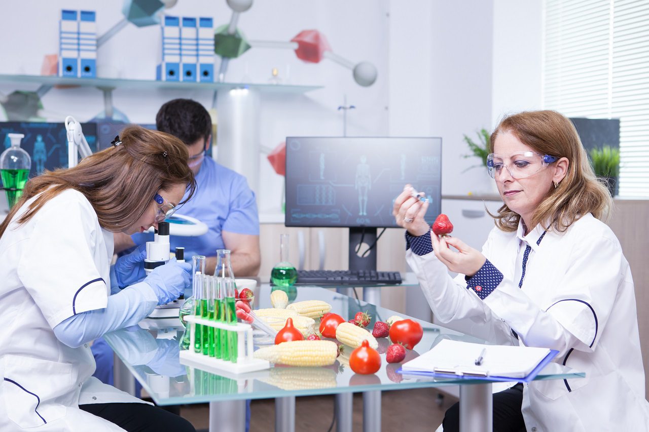 Valor nutricional