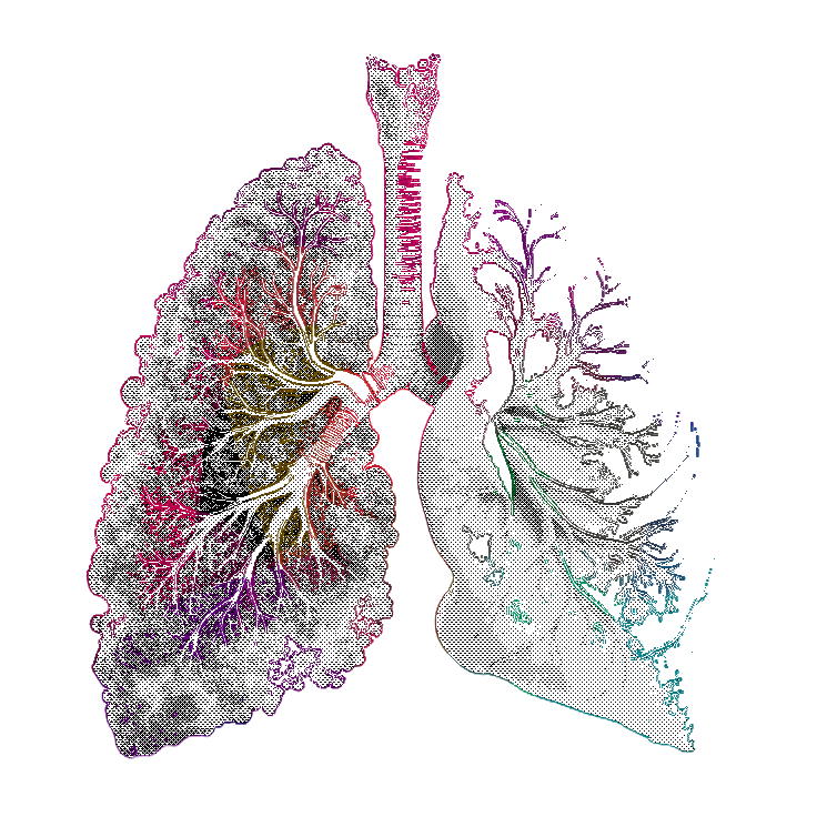 Screenshot Scape Image