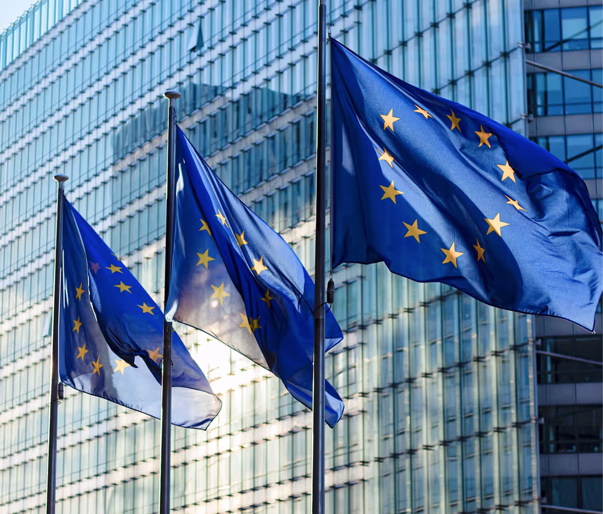 European Union flags
