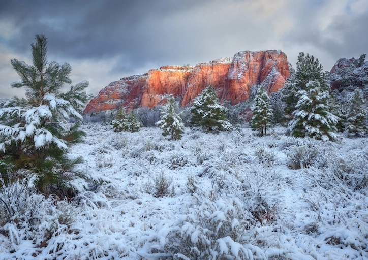 Red rock plateaus of Utah's Capitol Reef National Park sit in the distance with snow-covered juniper and pinion pines below