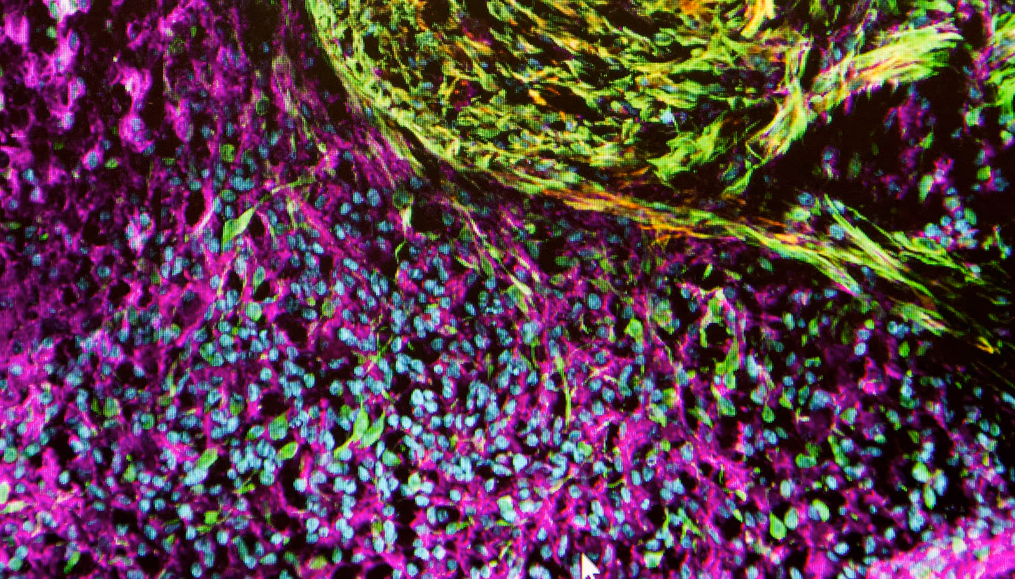 PNS Services biology image hero 