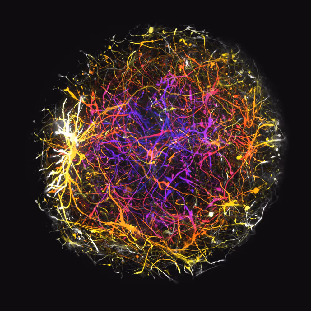Endurance study biology image