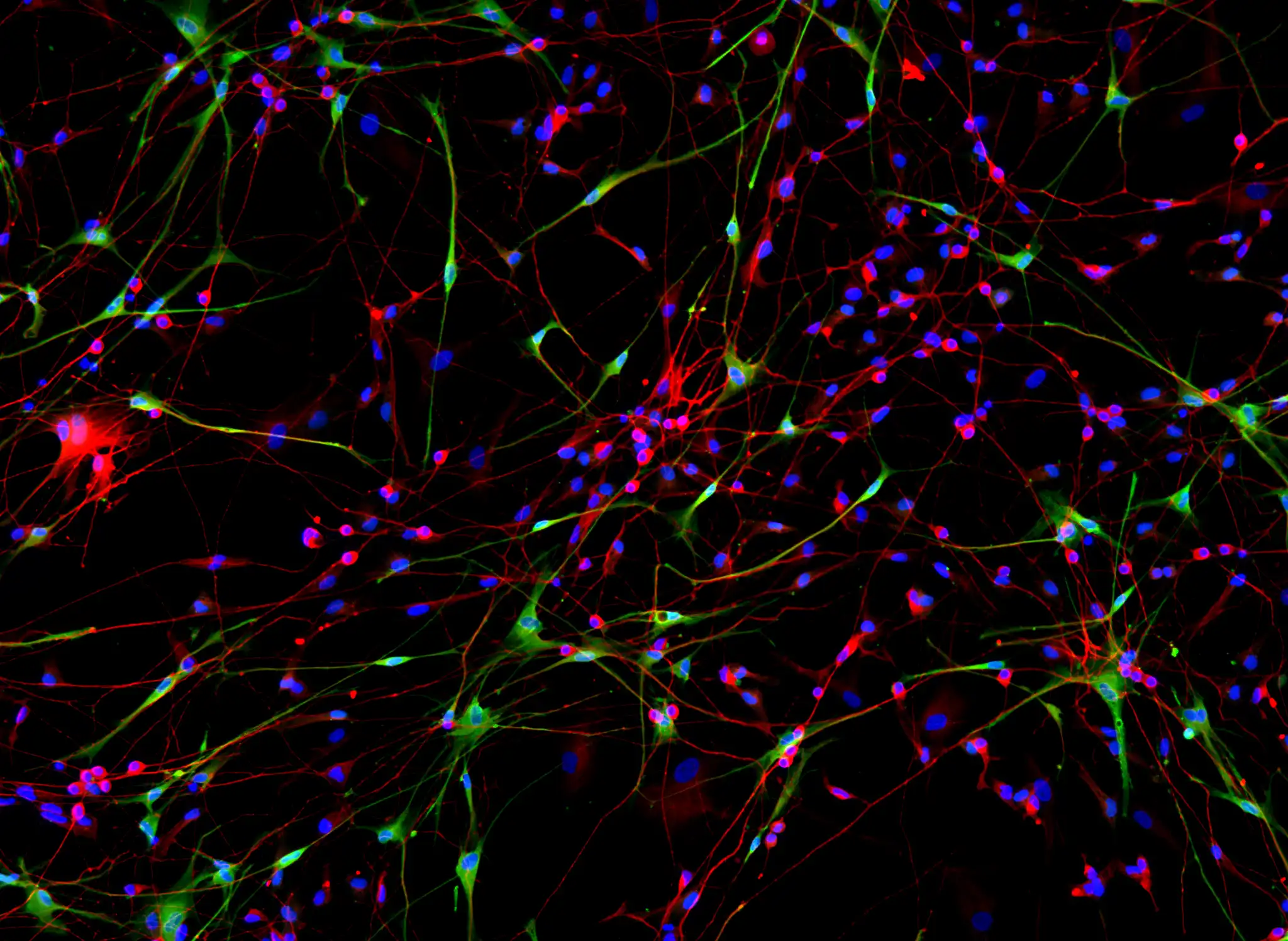 CNS-3D Technology biology image hero
