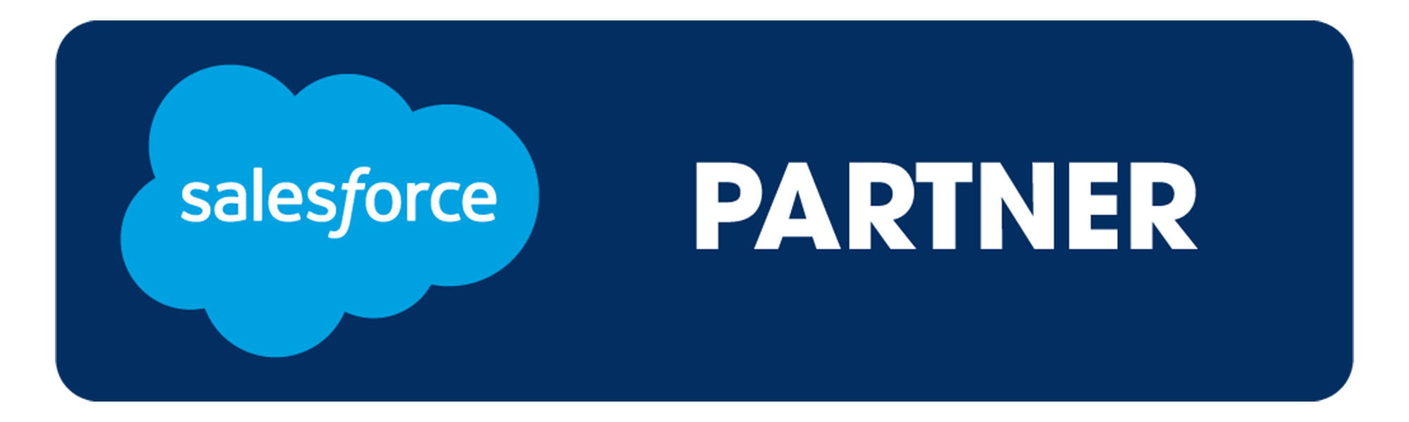 Salesforce partner