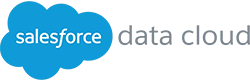 Salesforce data cloud