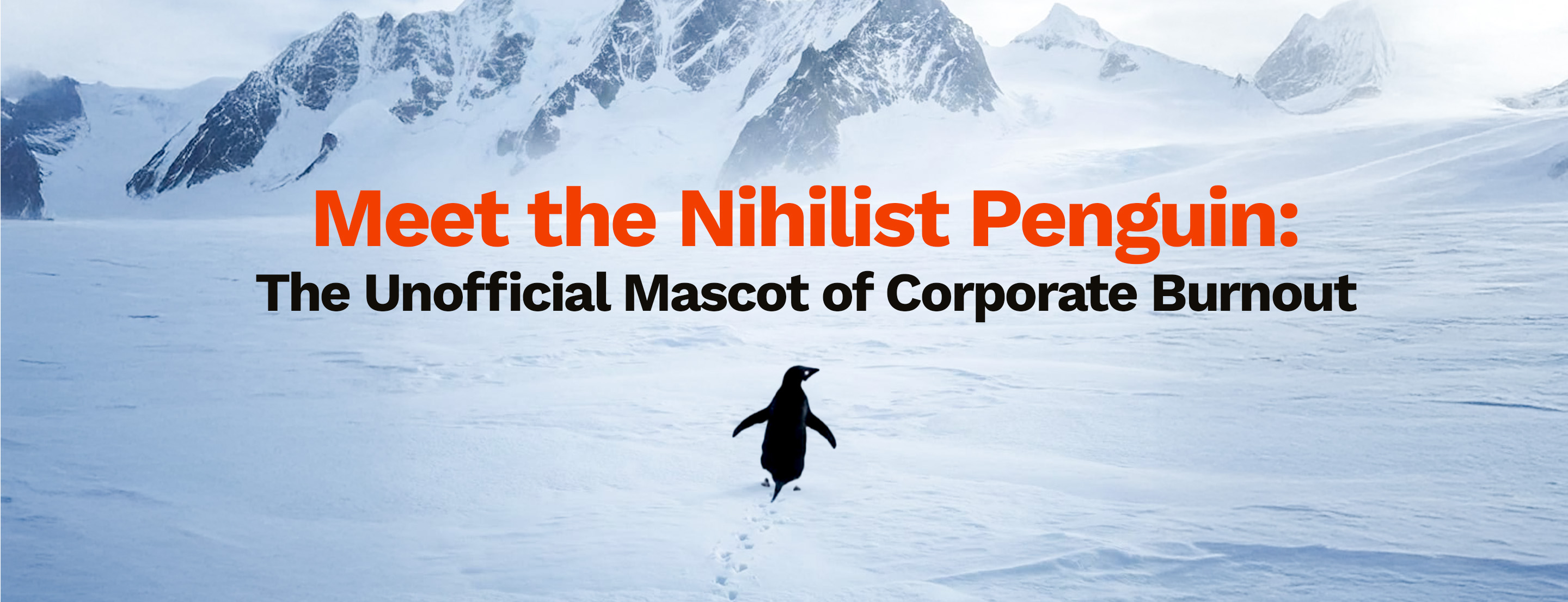 Meet the Nihilist Penguin: The Unofficial Mascot of Corporate Burnout