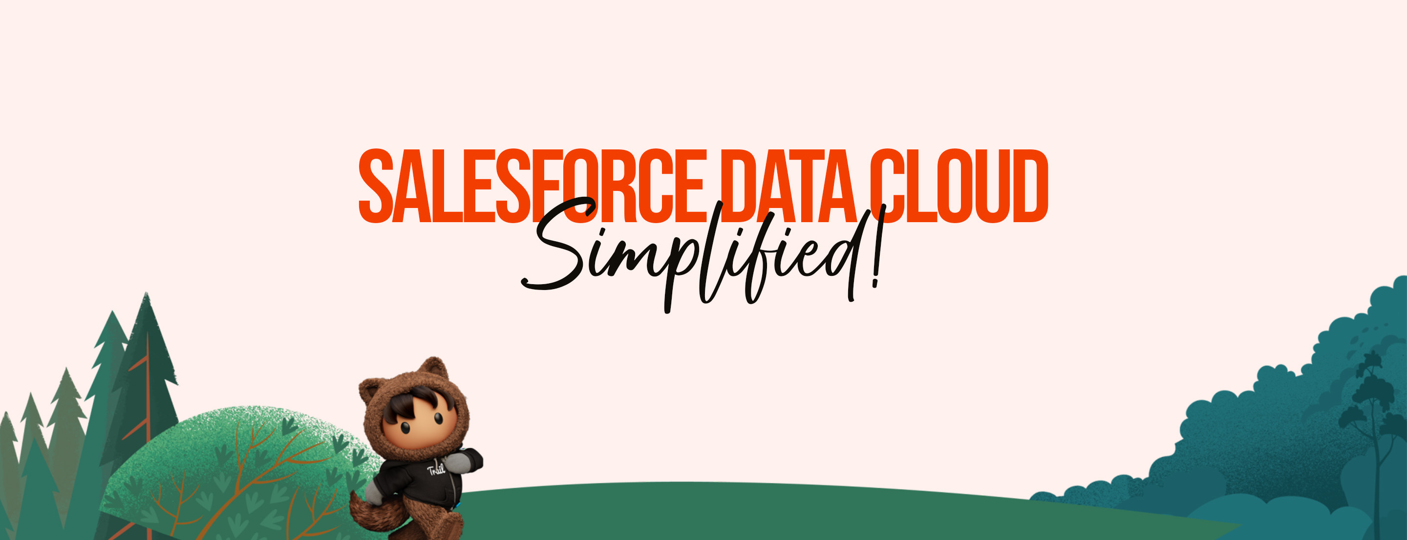 Salesforce Data Cloud Simplified