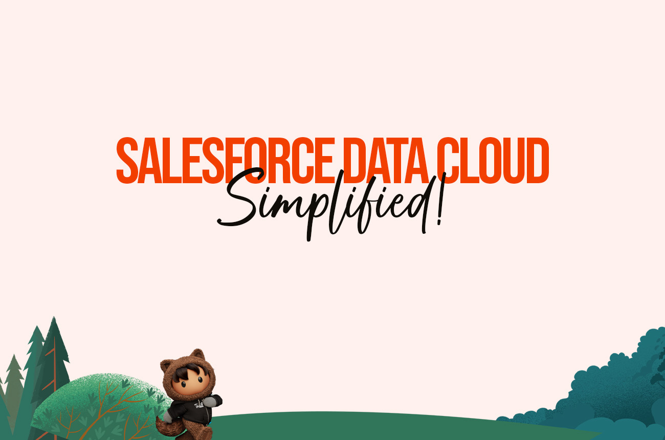 Salesforce Data Cloud Simplified