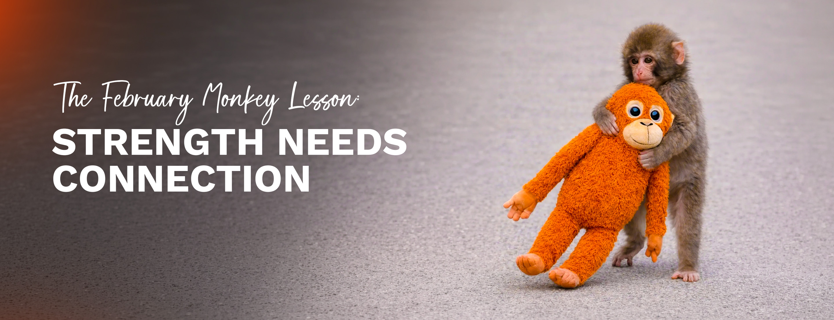 The February Monkey Lesson: Strength Needs Connection