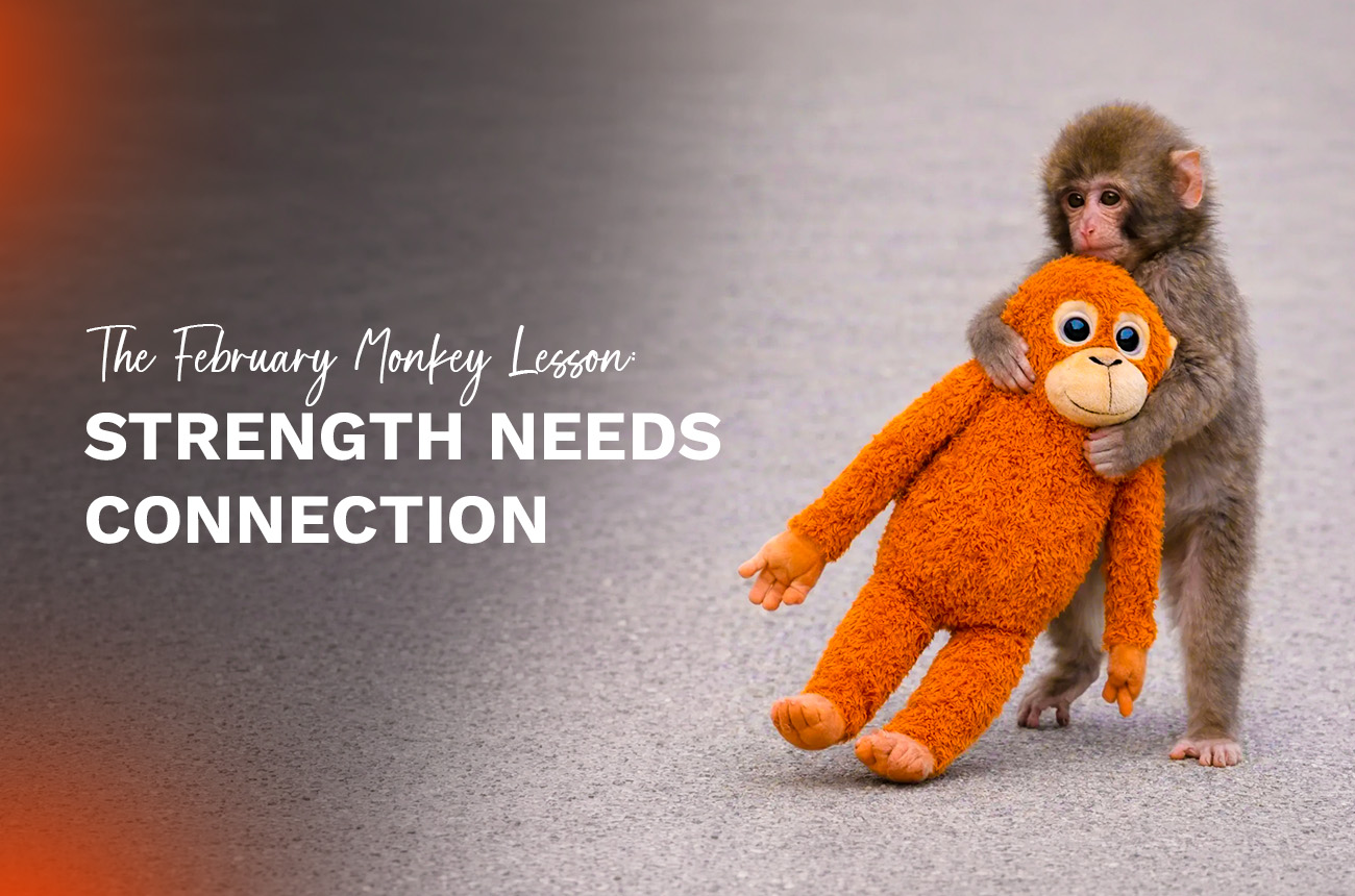The February Monkey Lesson: Strength Needs Connection