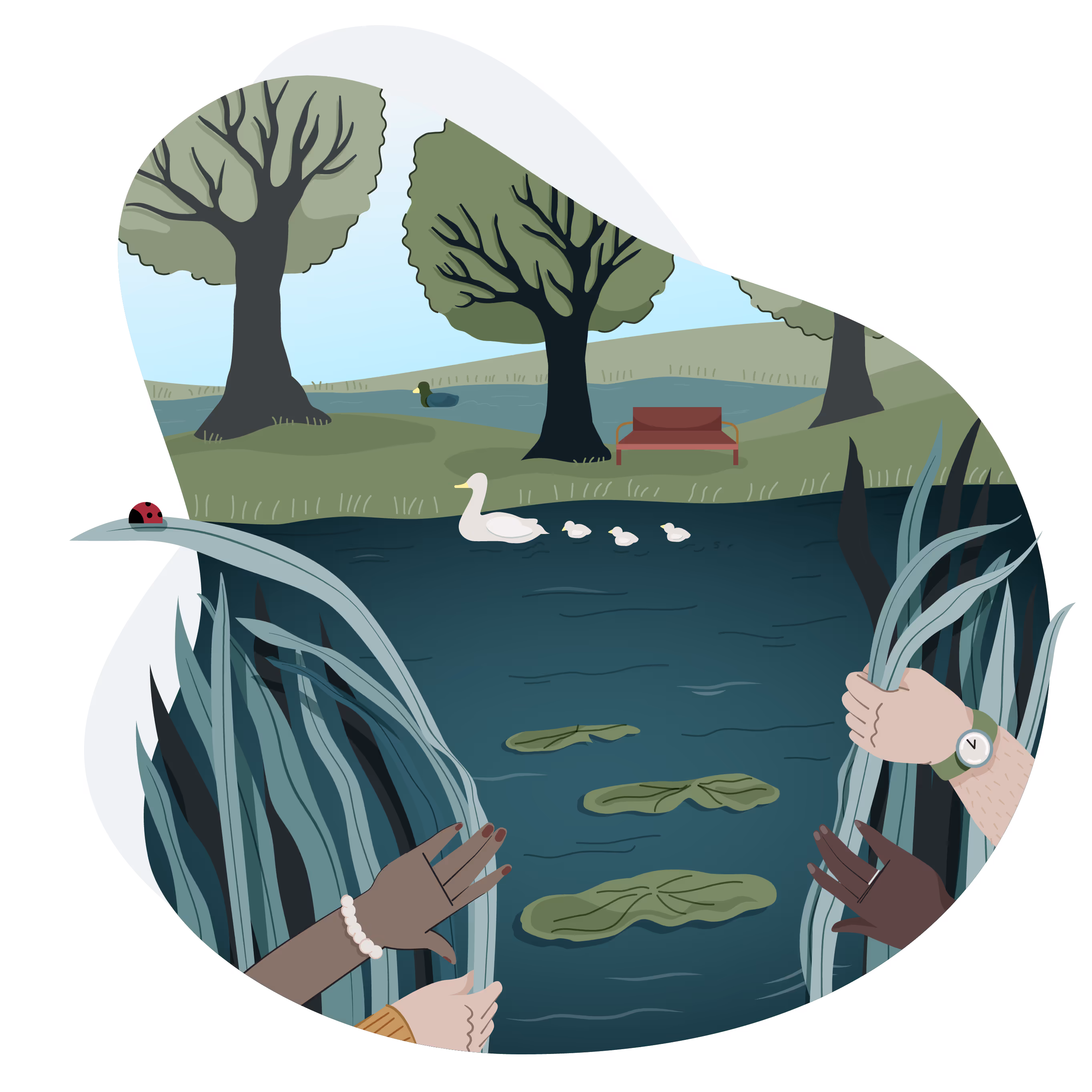 Illustration showing a lake revealed from behind tall reeds, with hands pulling them aside. The water displays lily pads and a swan family. The opposite bank features trees, a bench, and distant hills.