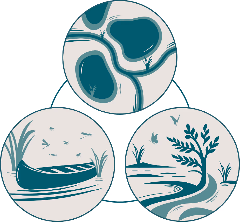 Conceptual diagram visualizing the interconnectedness of various aquatic ecological systems. A central circular flow links icons of different water bodies, including lakes and rivers.