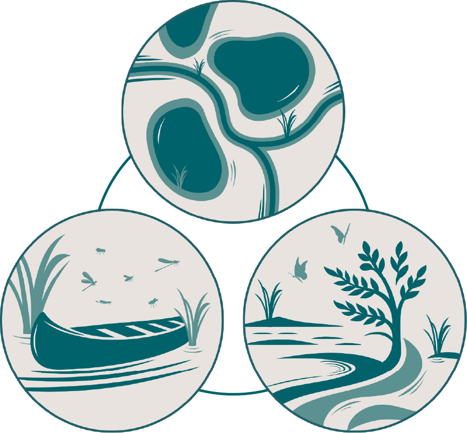 Conceptual diagram visualizing the interconnectedness of various aquatic ecological systems. A central circular flow links icons of different water bodies, including lakes and rivers.