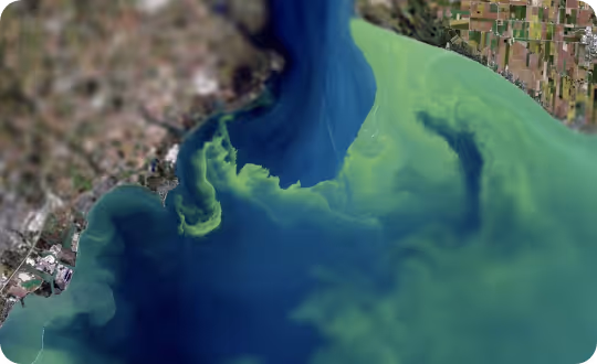An artistic aerial view shows water in a populated urban area, with distinct sections of vibrant green and dark blue.