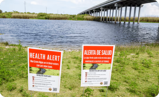 A view of a grass-lined river with a bridge overhead. Two health alert signs are visible near the water's edge, one in english and one in spanish.