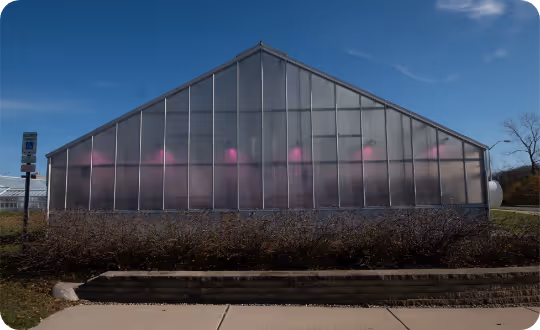 A large, modern greenhouse stands prominently, its interior illuminated by multiple vibrant purple grow lights.
