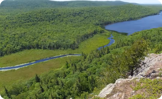A vibrant view of a lush, forested valley featuring a small river winding into a central lake or pond.